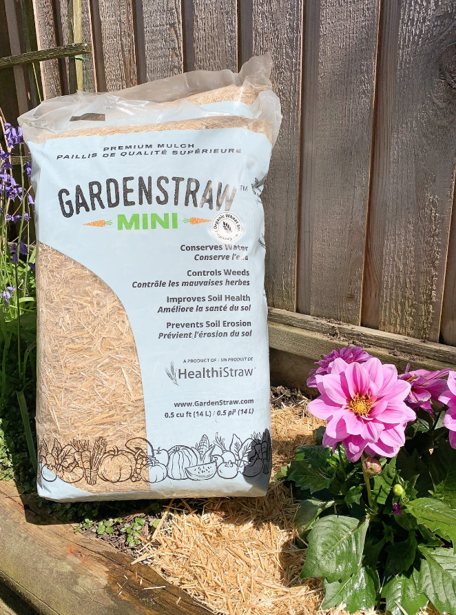 Gardenstraw Mini
