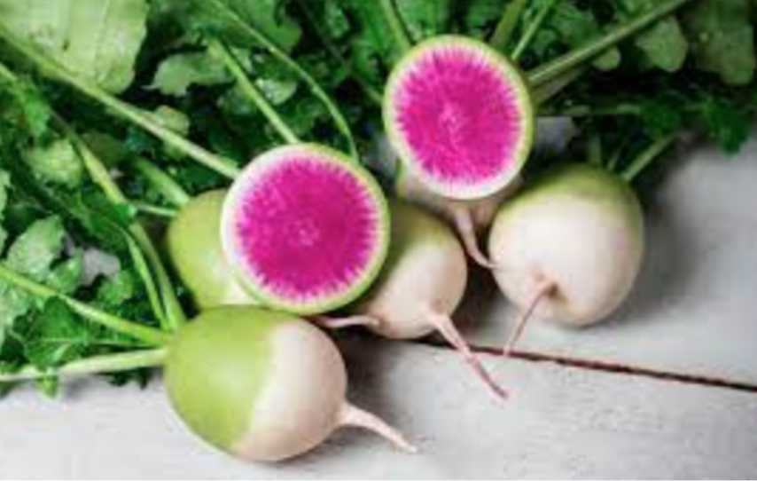 Radish &#39;Stargazer&#39; - 4&quot;