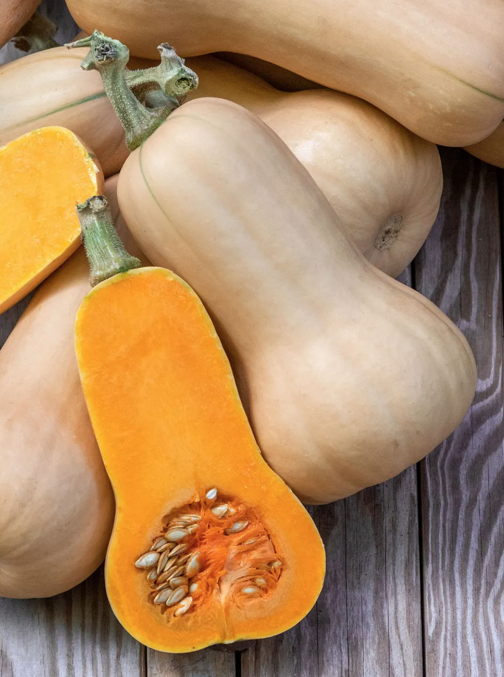 Butternut Squash OG - 4&quot;