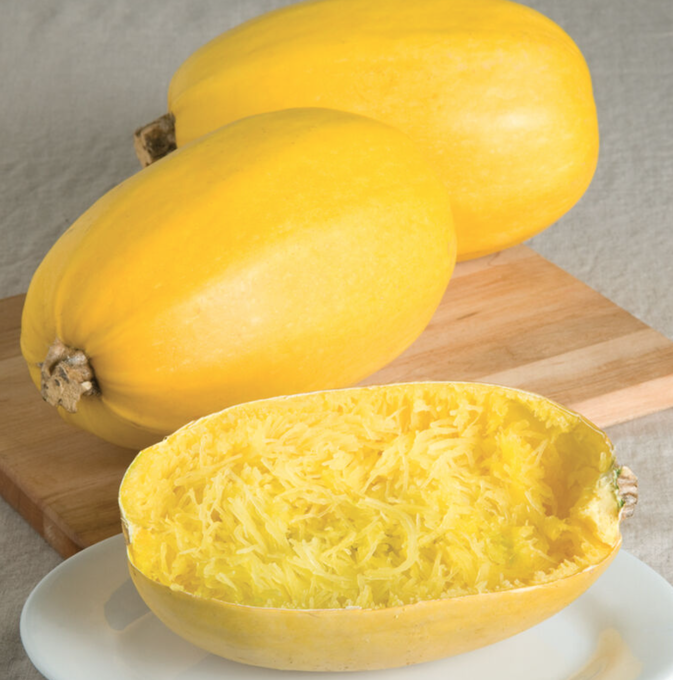 Squash &#39;Spaghetti&#39; OG - 4&quot;