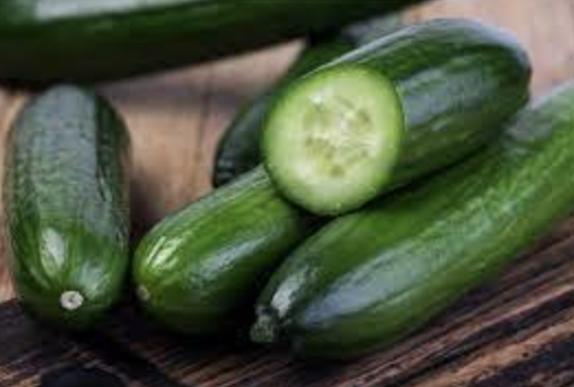 Cucumber &#39;Beit Alpha&#39; - 4&quot;
