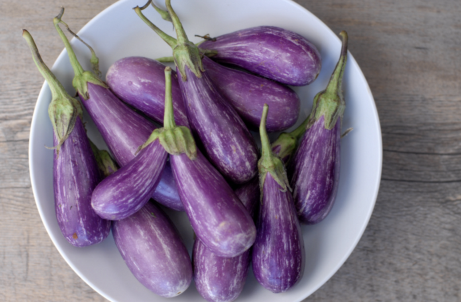 Eggplant &#39;Fairy Tale&#39; OG - 6pk