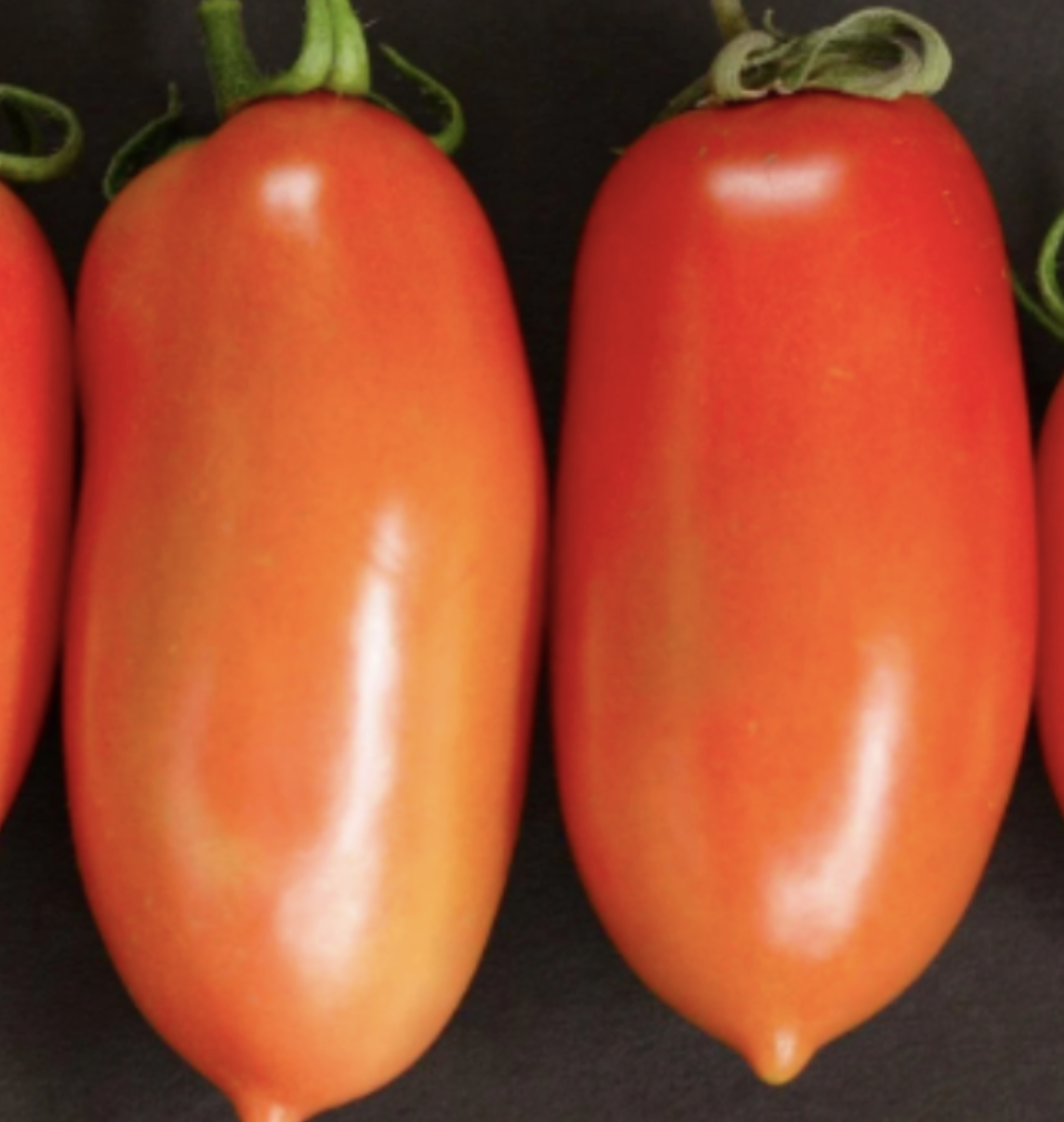 Tomato &#39;Roma&#39; - 1g