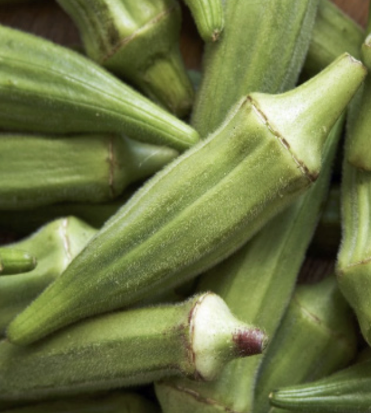 Okra &#39;Clemson Spineless&#39; - 6pk