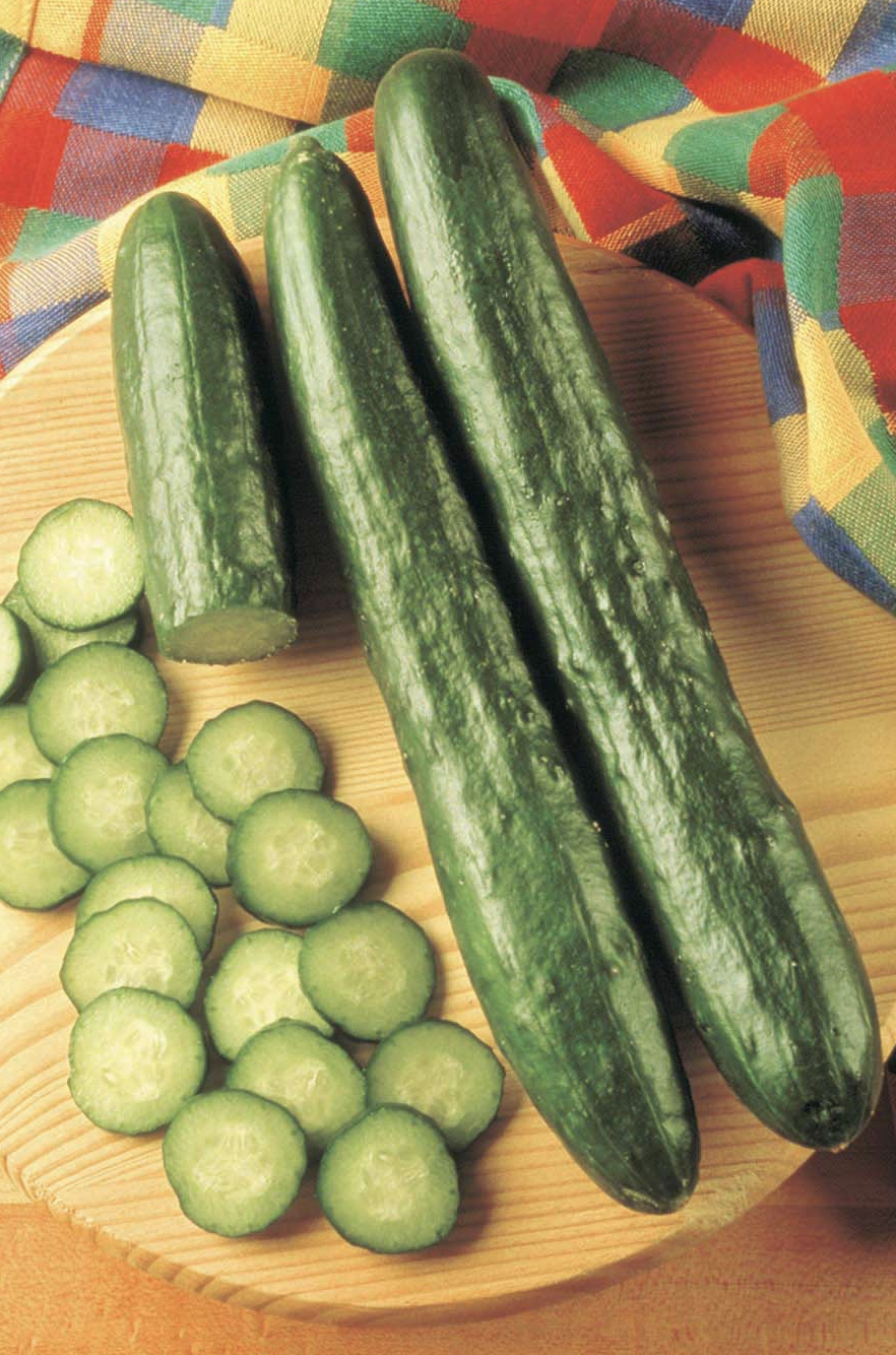 Cucumber &#39;Sweeter Yet&#39; - 4&quot;