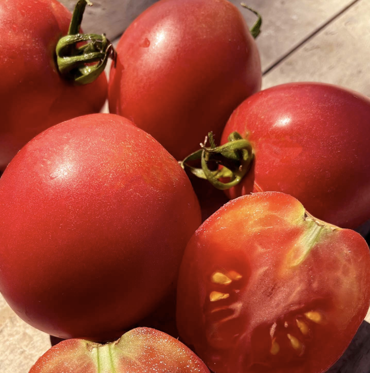 Tomato &#39;Melanie&#39;s Dwarf Ballet&#39; - 4&quot;