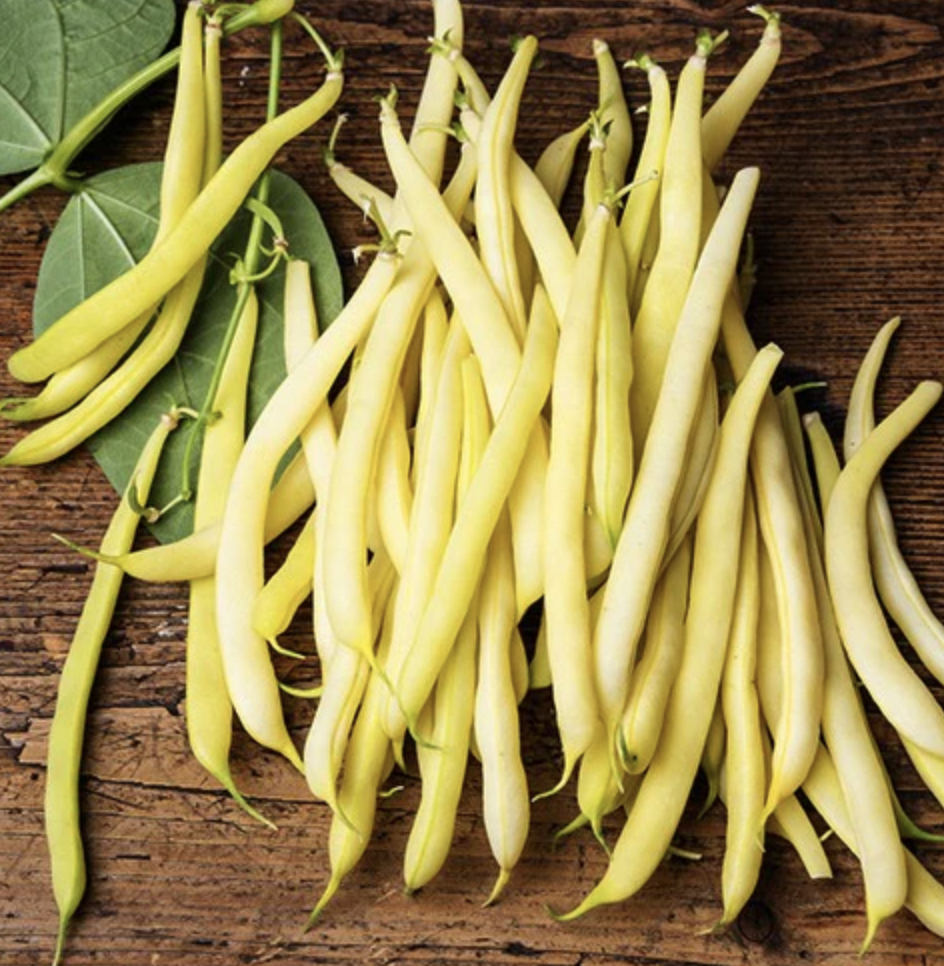 Bean &#39;Golden Wax&#39; - 6pk