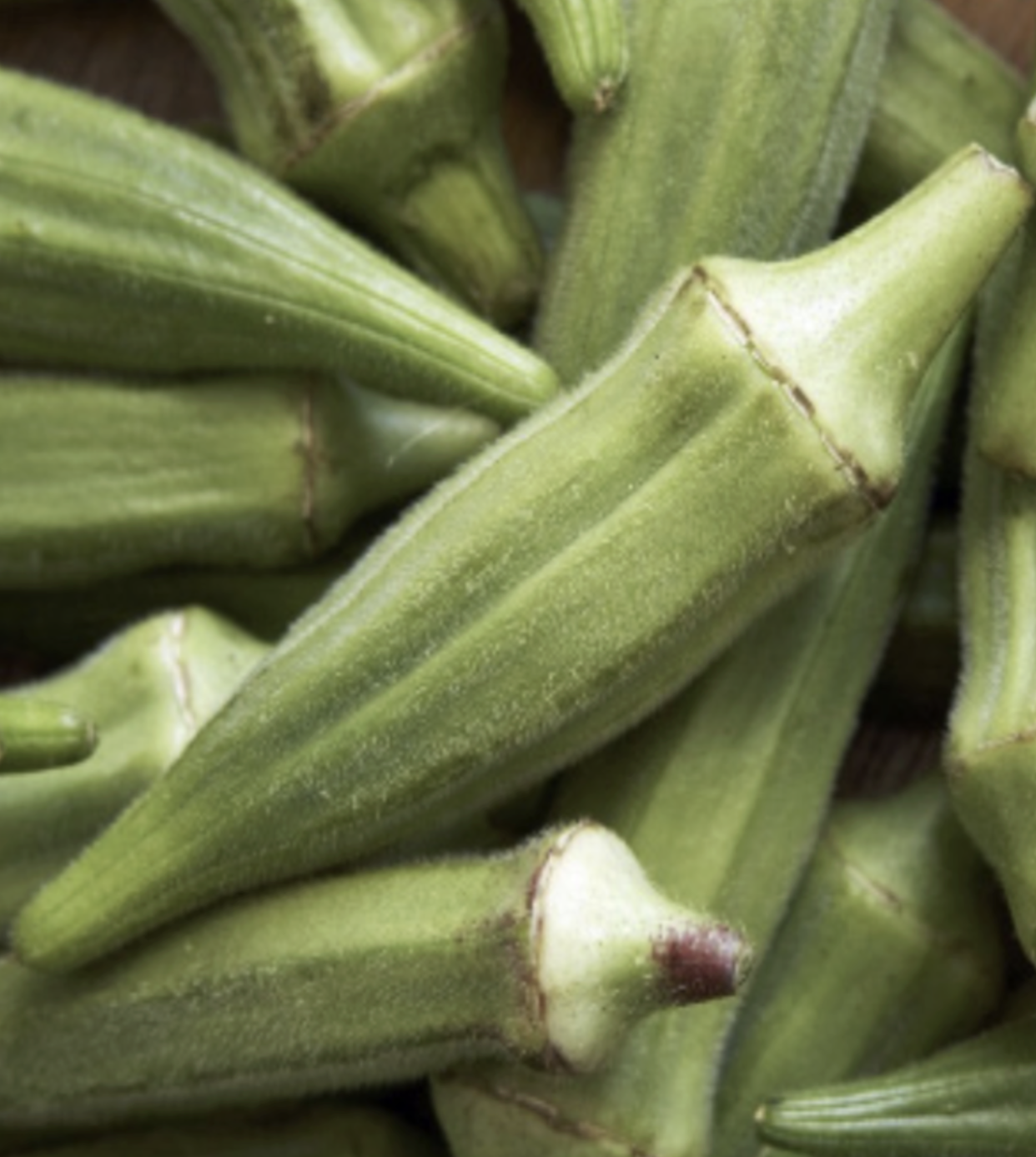 Okra &#39;Clemson Spineless&#39; - 4&quot; (AR)