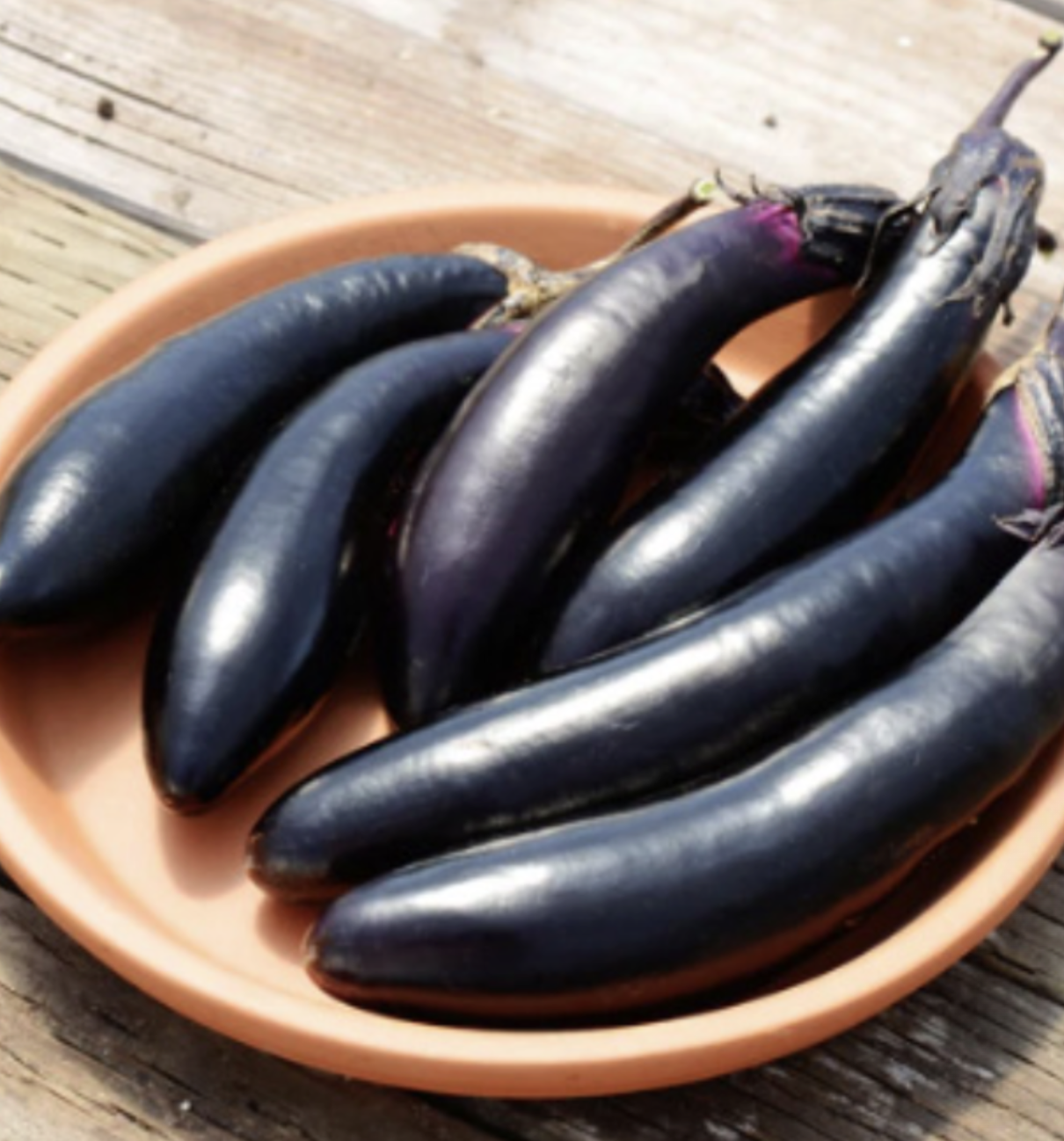 Eggplant &#39;Millionaire&#39; - 1g
