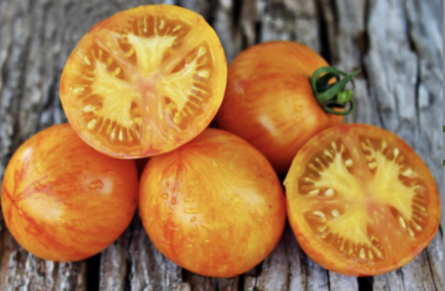 Tomato &#39;Lava Flow&#39; - 1g