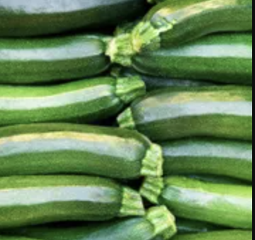 Zucchini &#39;Dark Green&#39; - 6pk