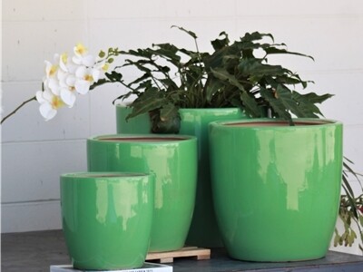 Fiddle Leaf Tree Planter - Tea Green Bright - 10.5&quot;