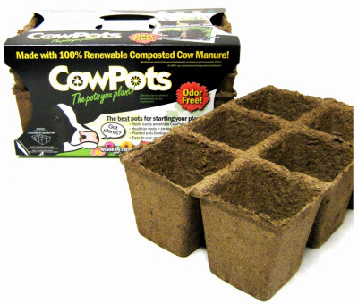 CowPots - 6 cell - 3ct