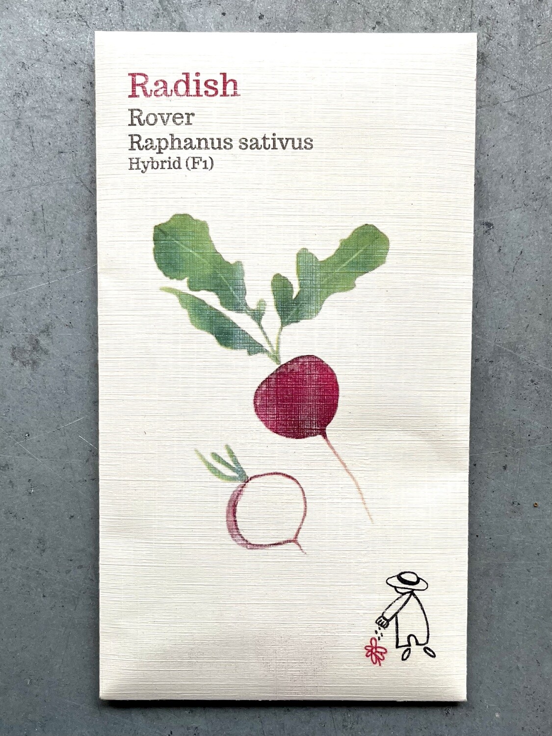 Rover Radish Seeds