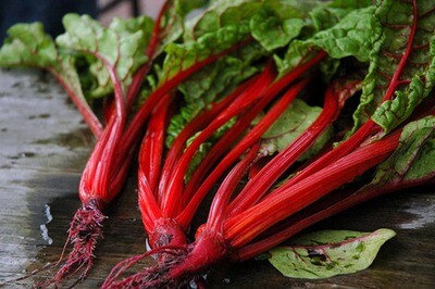 Swiss Chard 'Rhubarb Red' - 6pk