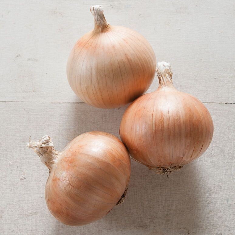 Onion &#39;Yellow Zoey&#39; OG - 6pk
