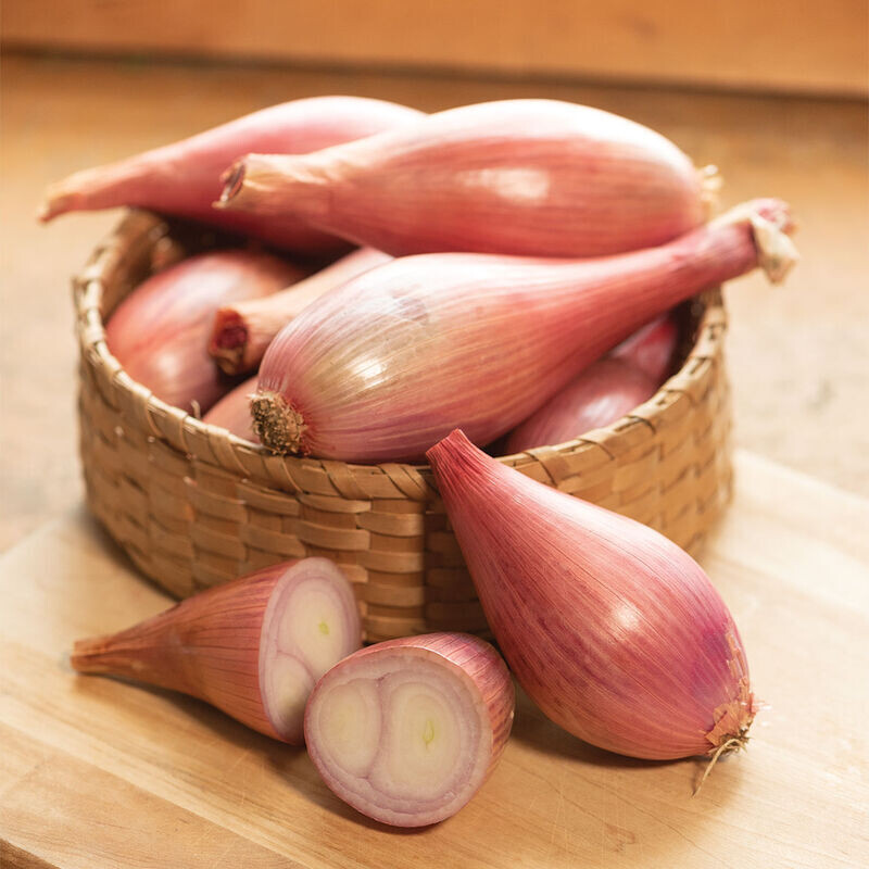 Shallot &#39;Creme Brulee&#39; - 6pk