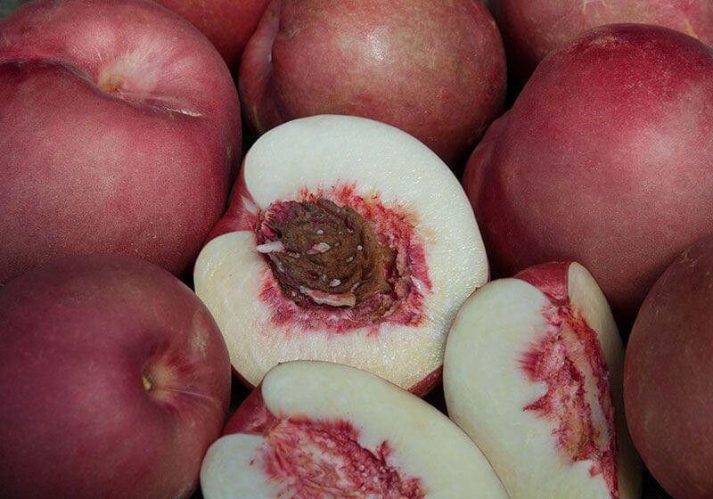 Nectaplum &#39;Spice Zee&#39; - Bare Root