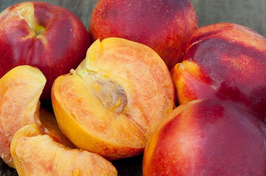 Nectarine &#39;Necta Zee&#39; Miniature - Bare Root