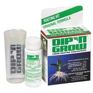 Dip-n-Grow Rooting Hormone - 2oz