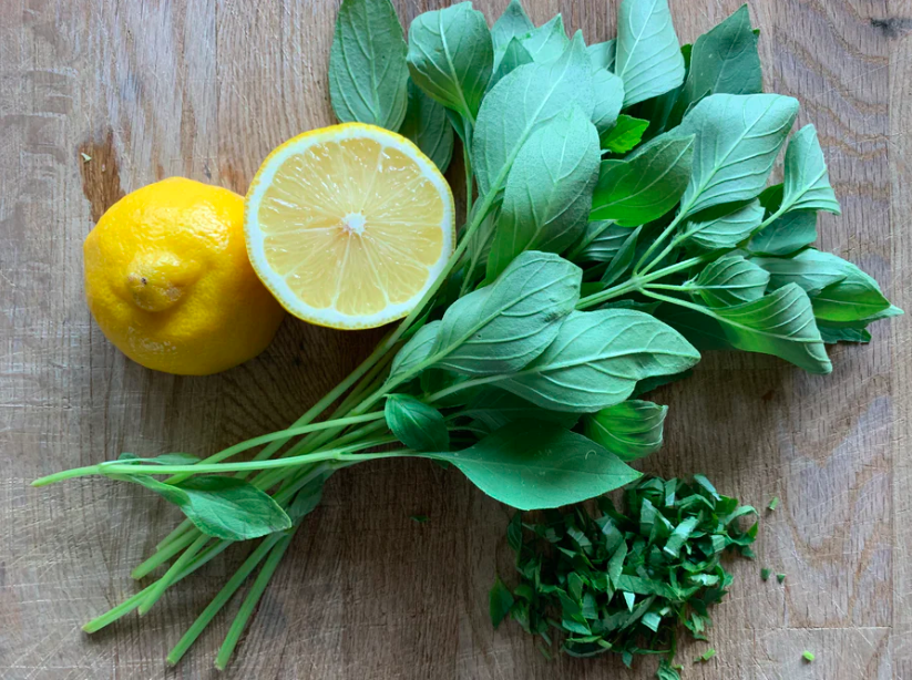 Basil &#39;Sweet Dani Lemon&#39; - 4&quot;