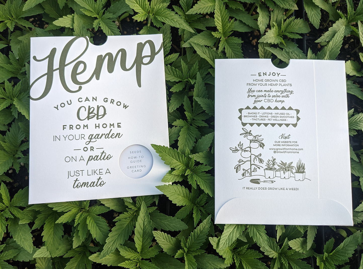 Victory (CBD) Seeds