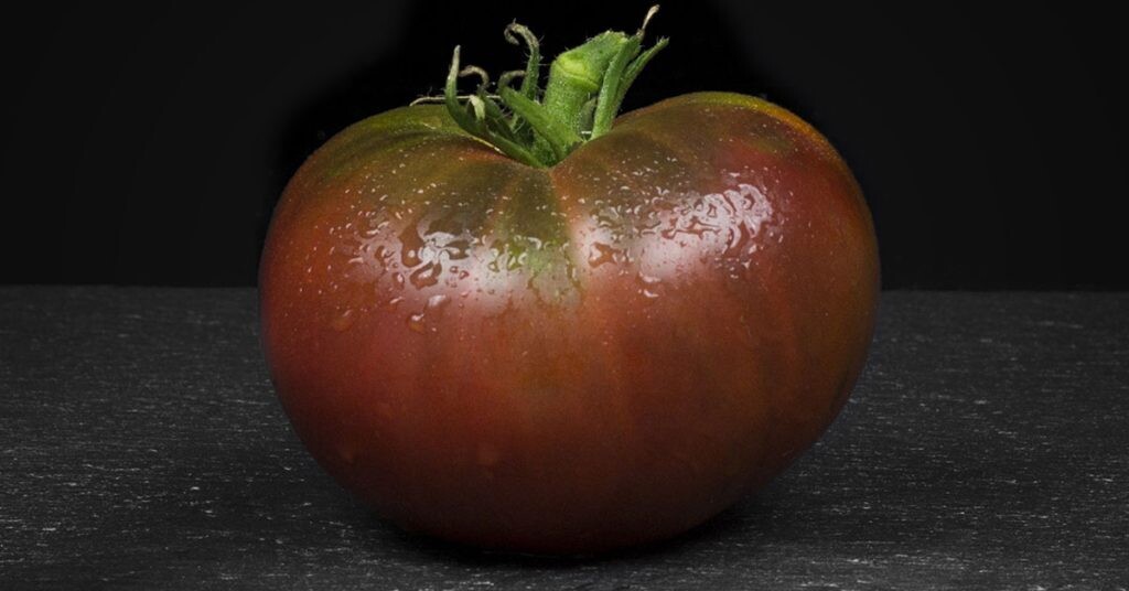 Tomato &#39;Black From Tula&#39; OG - 4&quot;