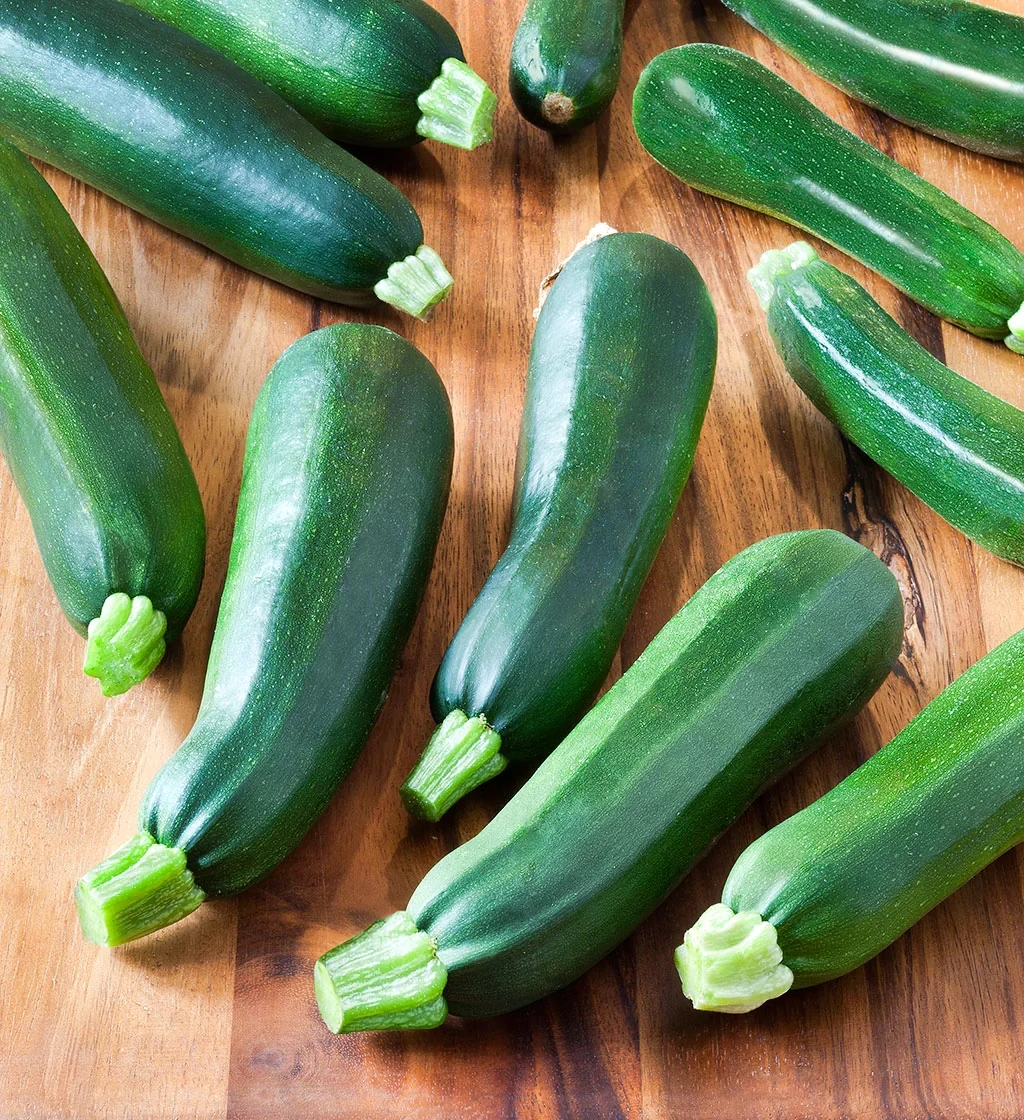 Zucchini &#39;Black Beauty&#39; - 4&quot;