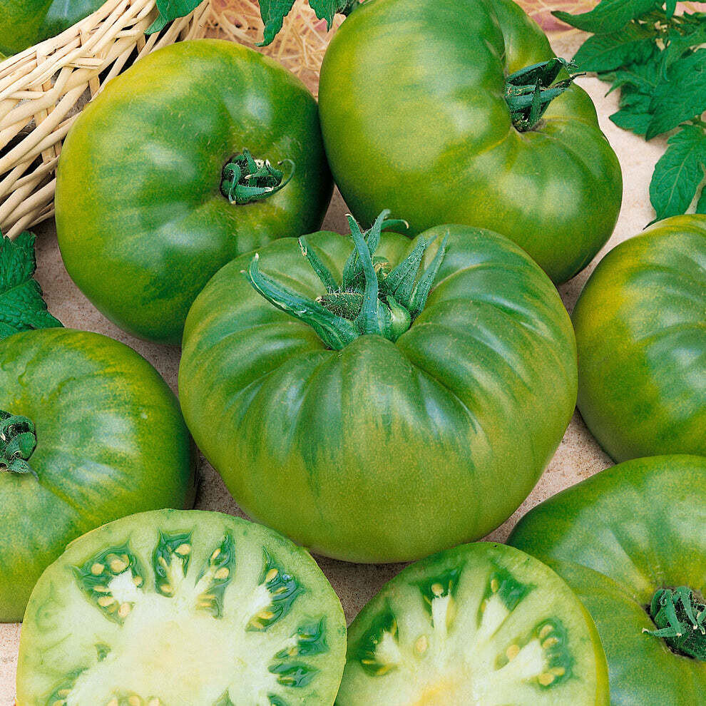 Tomato &#39;Cherokee Green&#39; OG - 4&quot;