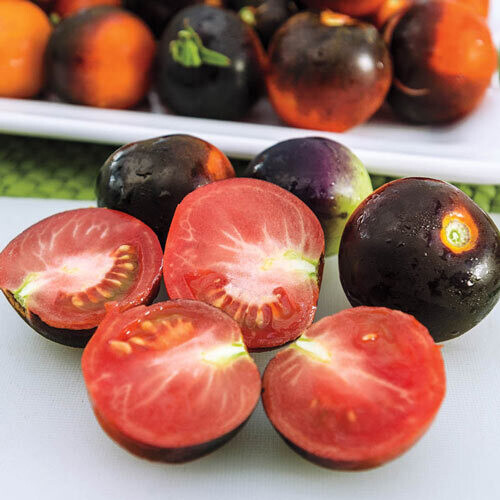 Tomato &#39;Indigo Ruby&#39; - 4&quot;