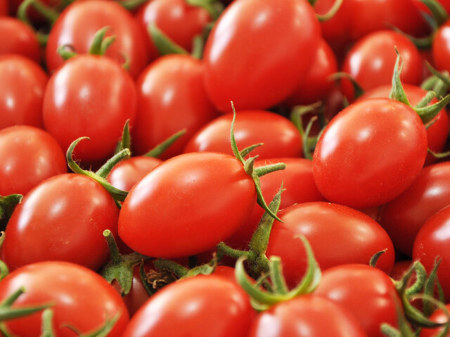 Tomato &#39;Aiko&#39; - 4&quot;