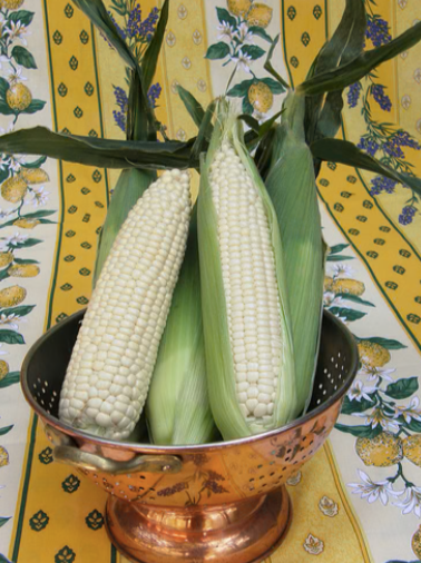 Corn &#39;Sugar Pearl&#39; OG - 6pk