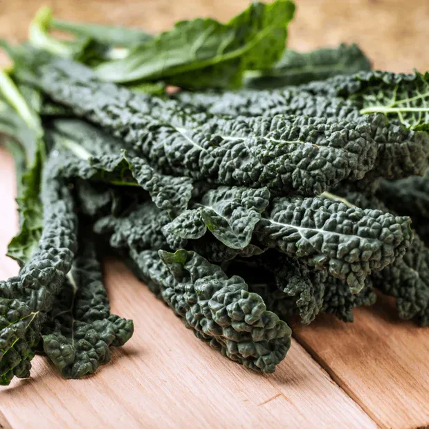 Dinosaur Kale &#39;Nero di Toscana&#39; - 6pk