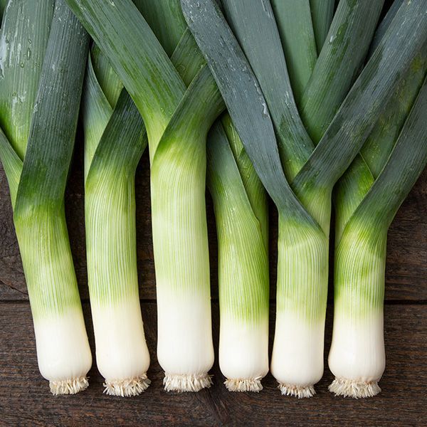 Leek &#39;Oslo&#39; - 6pk
