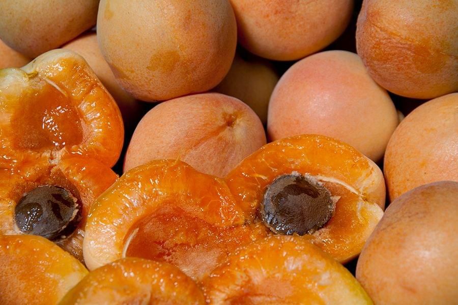Apricot &#39;Blenheim&#39; - Bare Root