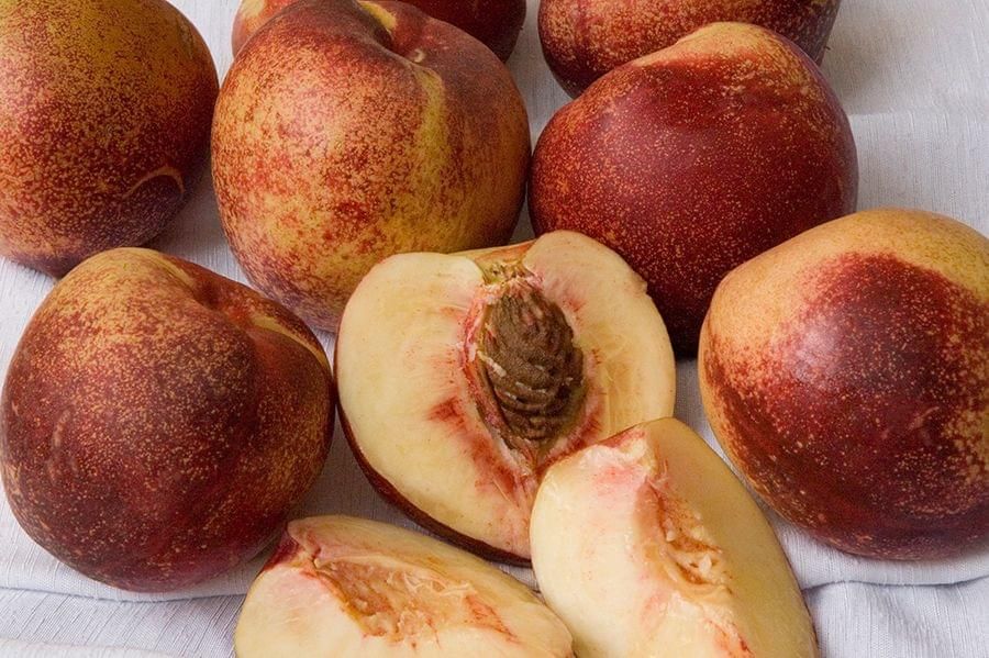 Nectarine &#39;Snow Queen White&#39; - Bare Root