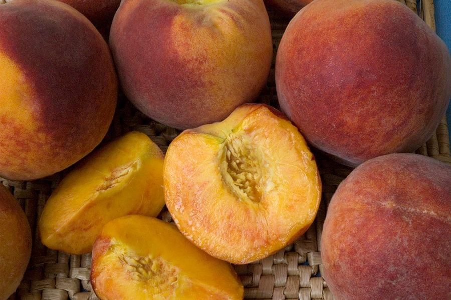 Peach &#39;Bonanza&#39; Miniature - Bare Root