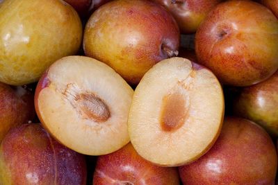 Pluot 'Flavor Grenade' - Bare Root