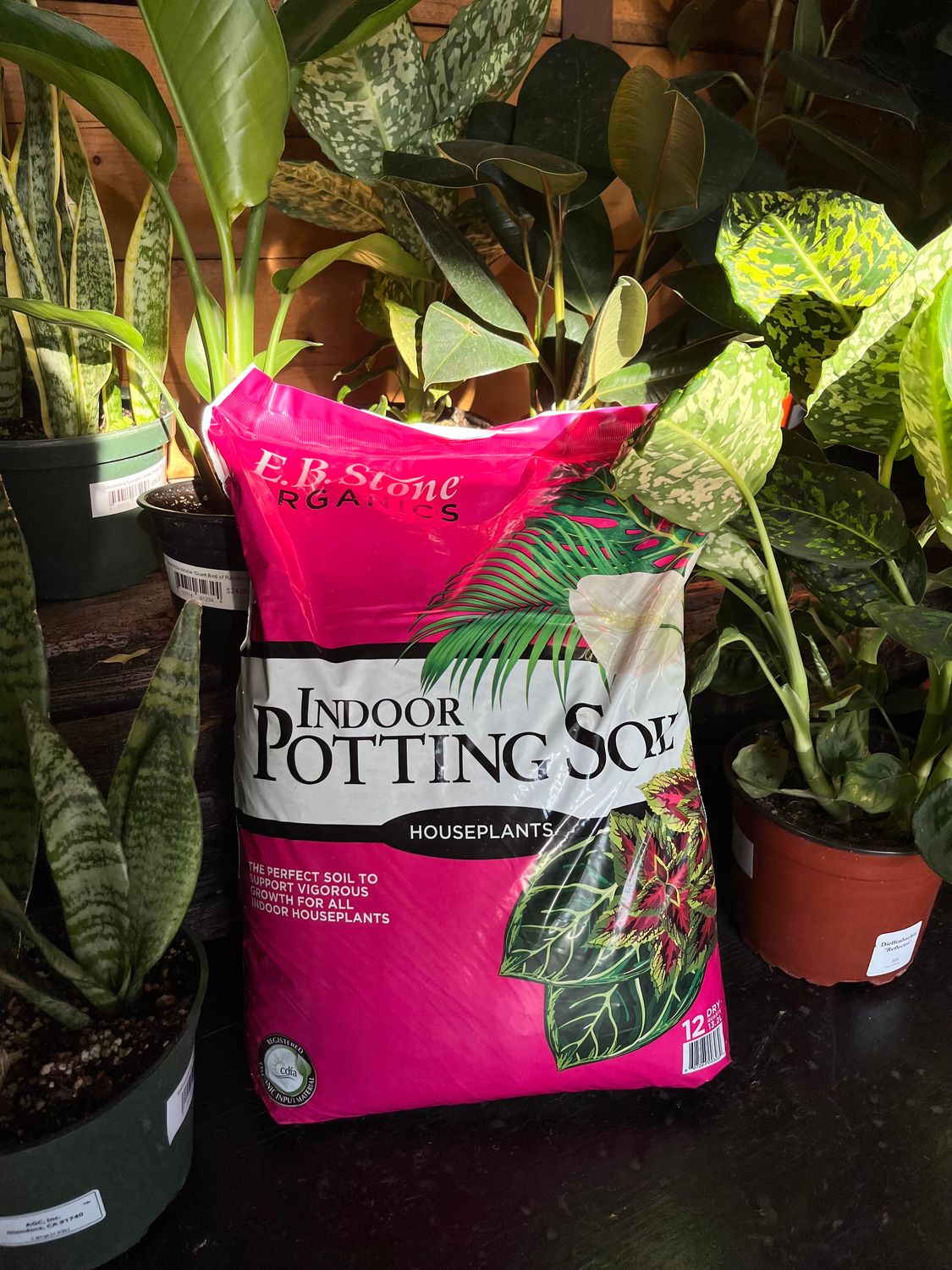 EB Stone Indoor Potting Soil - 12qt