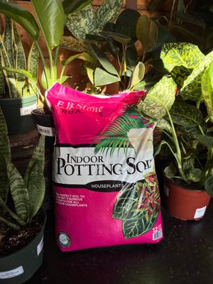 EB Stone Indoor Potting Soil - 12qt