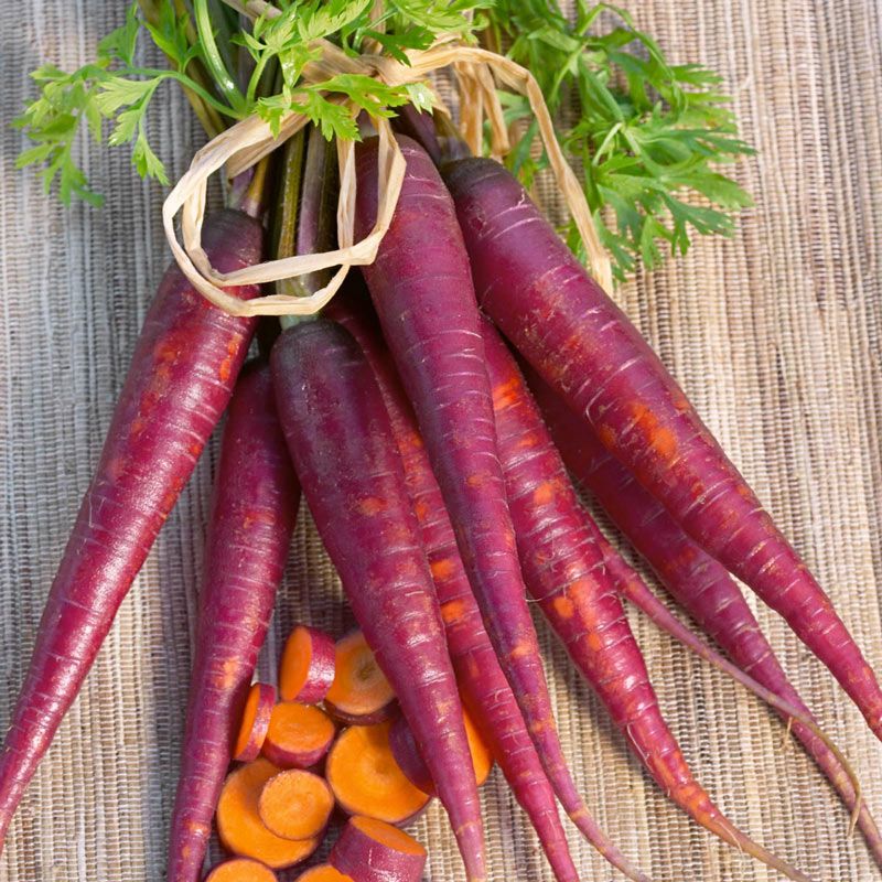 Carrot &#39;Cosmic Purple&#39; - 6pk