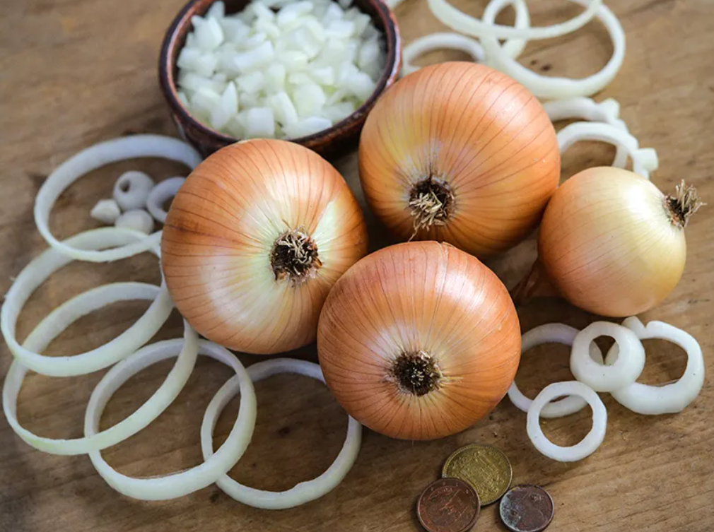 Onion &#39;Yellow Spanish&#39; - 6pk