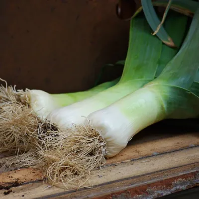 Leek &#39;Giant Musselburgh&#39; - 6pk