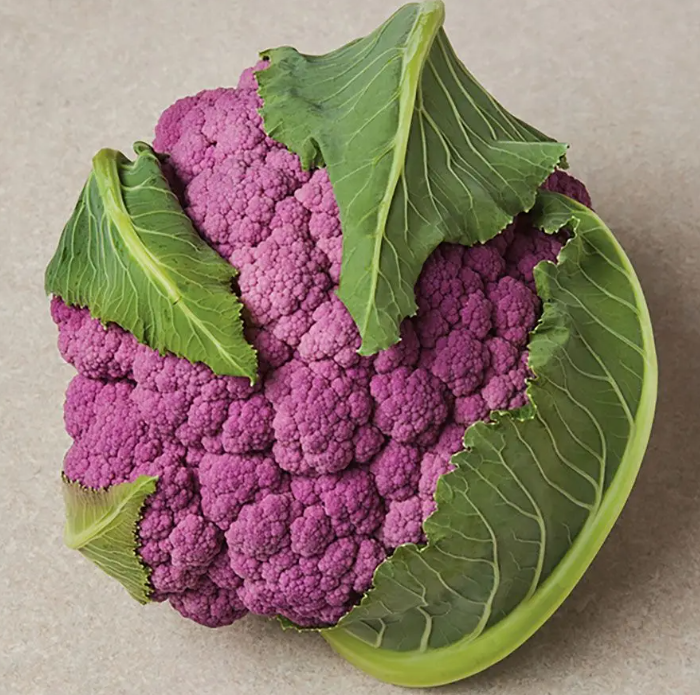 Cauliflower &#39;DePurple&#39; - 4&quot;