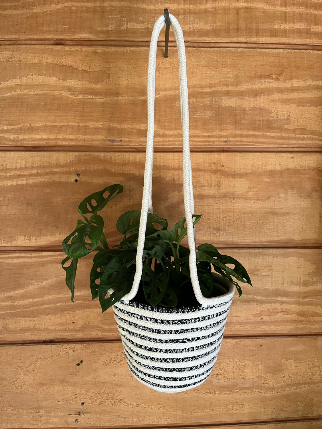 SuperMoss SoftWeave Hanging Basket - 6&quot; Rain