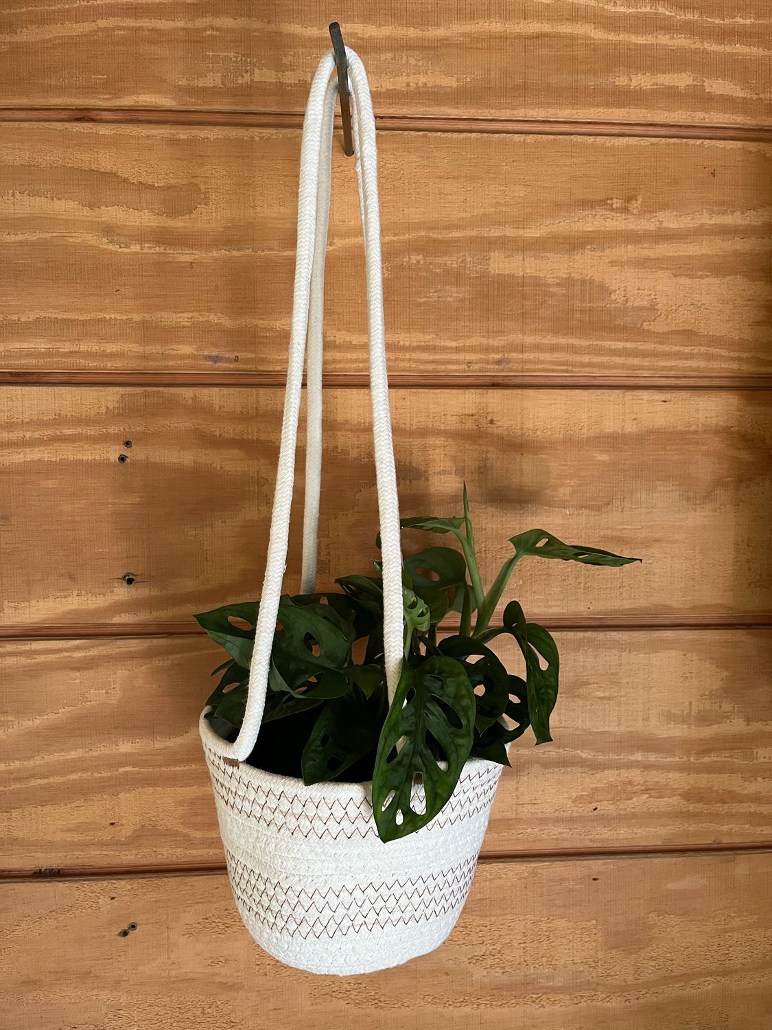 SuperMoss SoftWeave Hanging Basket - 6&quot; Drizzle