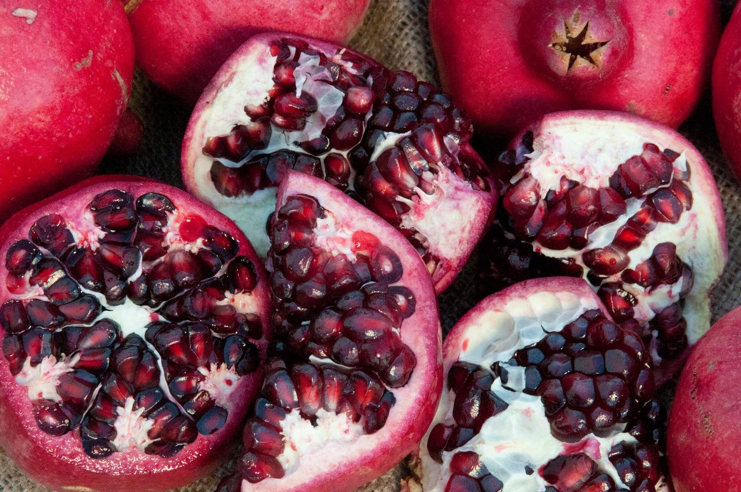 Pomegranate &#39;Parfianka&#39; - 1g