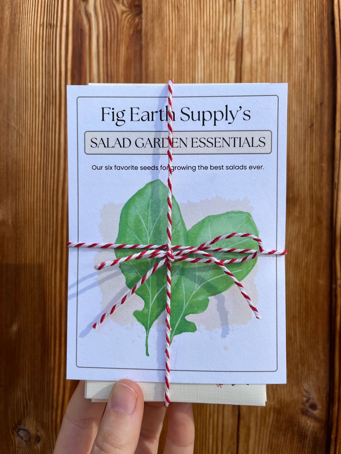 Fig Earth Supply&#39;s Salad Garden Essentials Seed Bundle