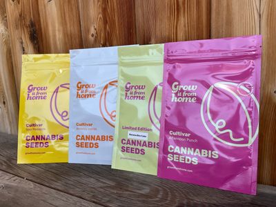 Cannabis Seeds