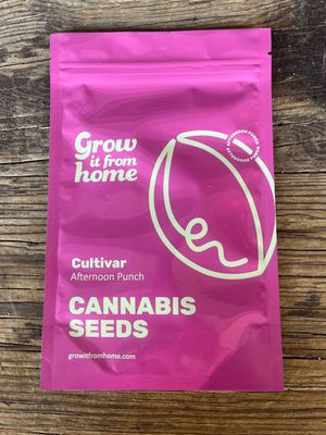 Afternoon Punch Feminized THC Seeds